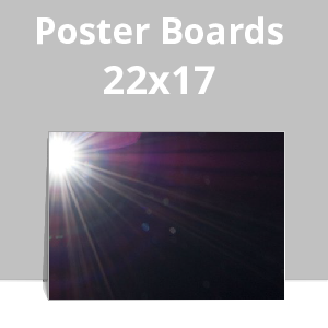 22x17 Poster