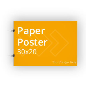 30x20 Paper Poster